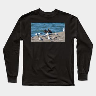 Double-crested Cormorant With A Flock Of Gulls Long Sleeve T-Shirt